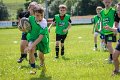 Monaghan Rugby Summer Camp 2015 (4 of 75)
